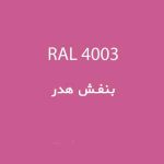 رال 4003 بنفش هدر